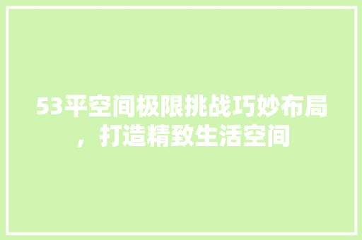 53平空间极限挑战巧妙布局，打造精致生活空间