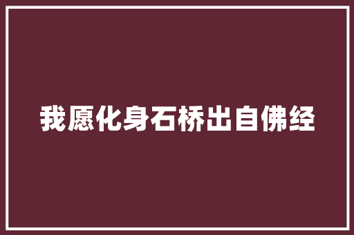 匠心独运，打造温馨家居,装修衣柜与书柜设计