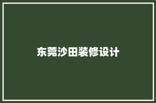 东莞沙田装修设计