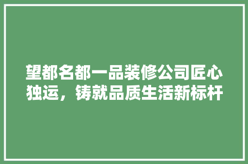 望都名都一品装修公司匠心独运，铸就品质生活新标杆