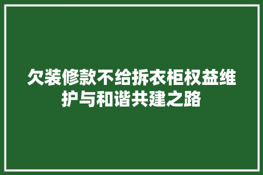 欠装修款不给拆衣柜权益维护与和谐共建之路