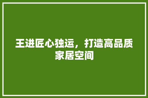王进匠心独运，打造高品质家居空间