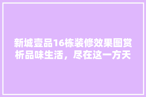 新城壹品16栋装修效果图赏析品味生活，尽在这一方天地
