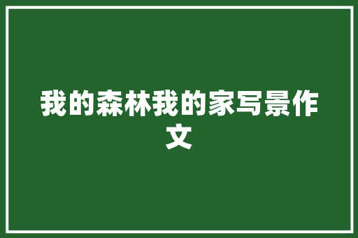 焕新驾乘体验——23款RAV4内饰装修