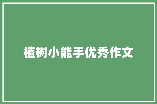 老款思域改装探寻经典与时尚的完美融合