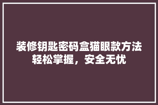 装修钥匙密码盒猫眼款方法轻松掌握，安全无忧  第1张