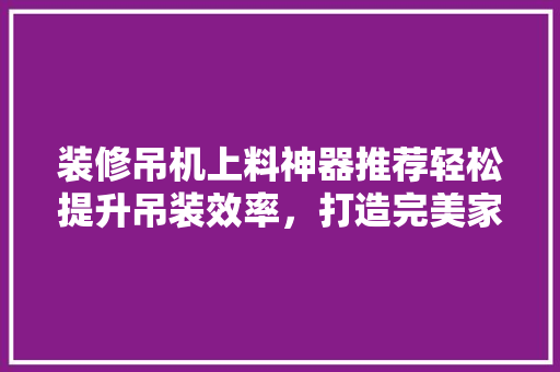 装修吊机上料神器推荐轻松提升吊装效率，打造完美家居空间  第1张