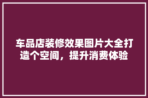 车品店装修效果图片大全打造个空间，提升消费体验