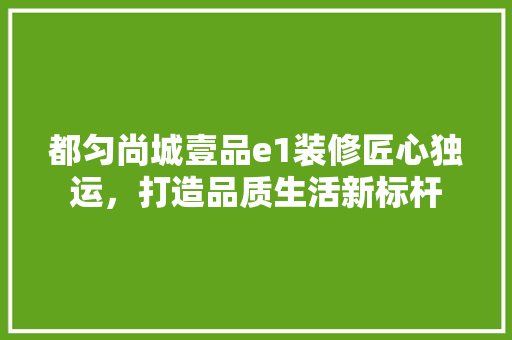 都匀尚城壹品e1装修匠心独运，打造品质生活新标杆  第1张