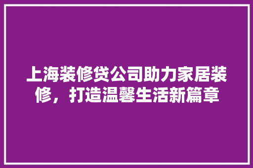 上海装修贷公司助力家居装修，打造温馨生活新篇章  第1张