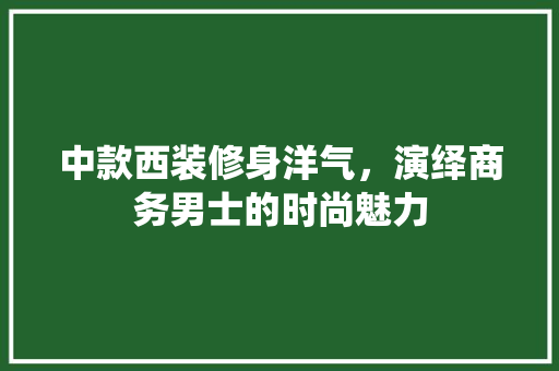 中款西装修身洋气，演绎商务男士的时尚魅力