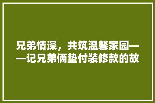 兄弟情深，共筑温馨家园——记兄弟俩垫付装修款的故事  第1张