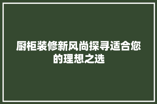 厨柜装修新风尚探寻适合您的理想之选