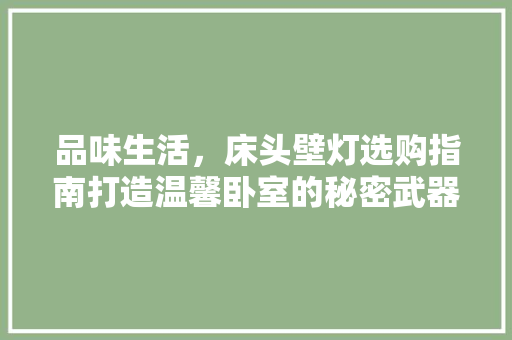品味生活，床头壁灯选购指南打造温馨卧室的秘密武器  第1张