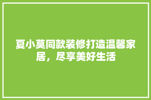 夏小莫同款装修打造温馨家居，尽享美好生活  第1张