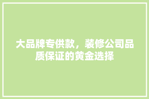 大品牌专供款，装修公司品质保证的黄金选择