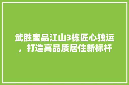 武胜壹品江山3栋匠心独运，打造高品质居住新标杆