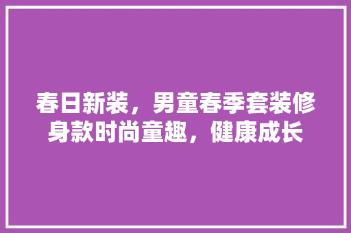 春日新装，男童春季套装修身款时尚童趣，健康成长  第1张