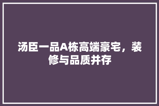 汤臣一品A栋高端豪宅，装修与品质并存