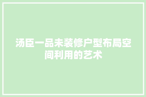 汤臣一品未装修户型布局空间利用的艺术
