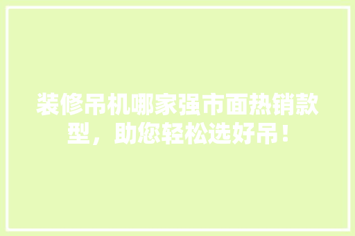 装修吊机哪家强市面热销款型，助您轻松选好吊！  第1张