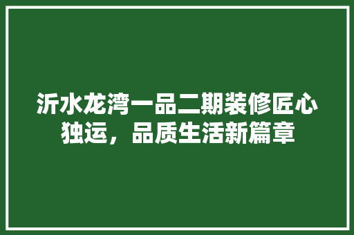 沂水龙湾一品二期装修匠心独运，品质生活新篇章