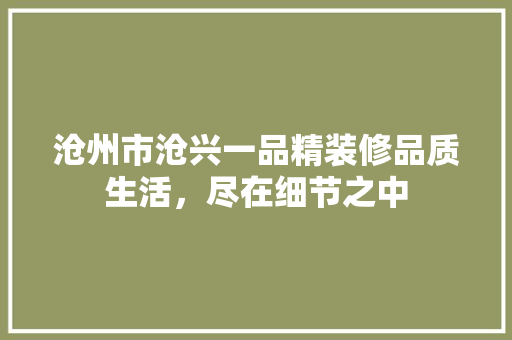 沧州市沧兴一品精装修品质生活，尽在细节之中
