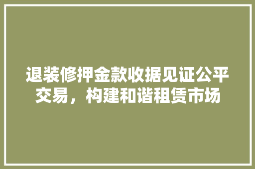 退装修押金款收据见证公平交易，构建和谐租赁市场  第1张