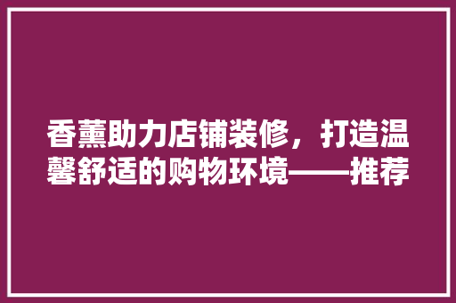 香薰助力店铺装修，打造温馨舒适的购物环境——推荐最佳香薰选择