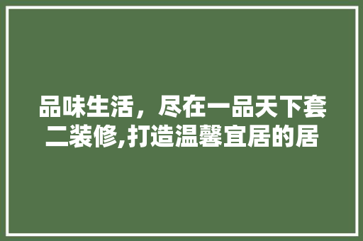 品味生活，尽在一品天下套二装修,打造温馨宜居的居住空间  第1张