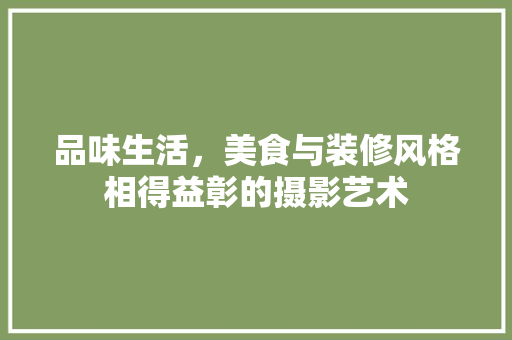 品味生活，美食与装修风格相得益彰的摄影艺术
