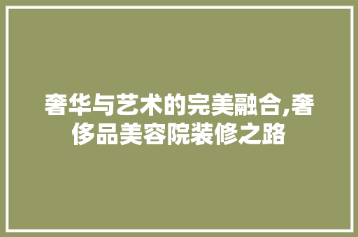 奢华与艺术的完美融合,奢侈品美容院装修之路