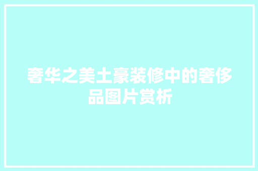 奢华之美土豪装修中的奢侈品图片赏析  第1张