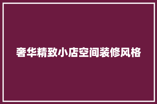 奢华精致小店空间装修风格