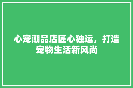 心宠潮品店匠心独运，打造宠物生活新风尚  第1张
