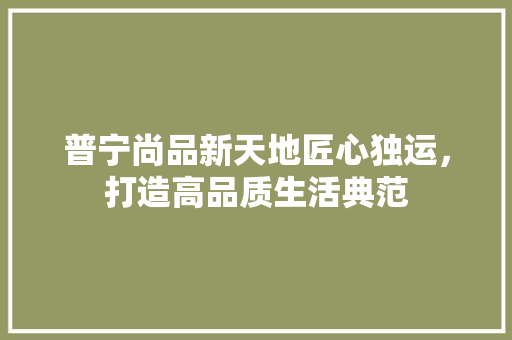 普宁尚品新天地匠心独运，打造高品质生活典范