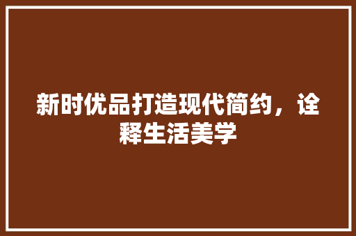 新时优品打造现代简约，诠释生活美学  第1张