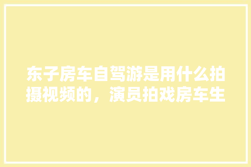 大码女装运动装修身款时尚与健康共舞的优雅选择