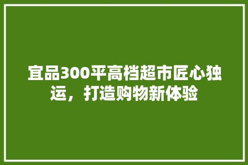 宜品300平高档超市匠心独运，打造购物新体验