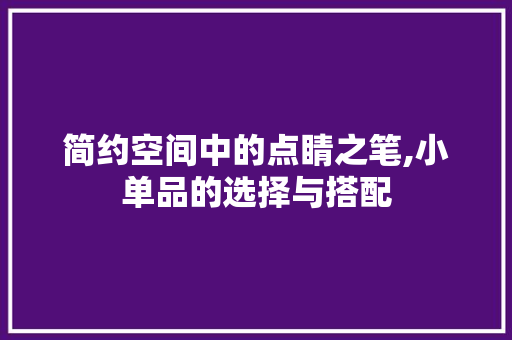 简约空间中的点睛之笔,小单品的选择与搭配