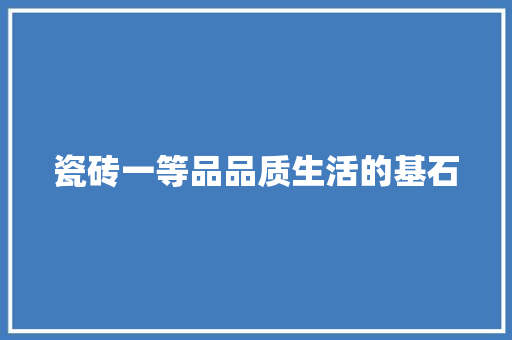 瓷砖一等品品质生活的基石