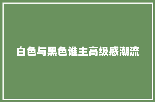 白色与黑色谁主高级感潮流
