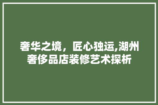 奢华之境，匠心独运,湖州奢侈品店装修艺术探析