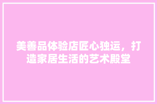 美善品体验店匠心独运，打造家居生活的艺术殿堂  第1张