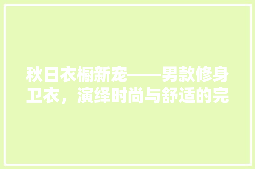 秋日衣橱新宠——男款修身卫衣，演绎时尚与舒适的完美融合
