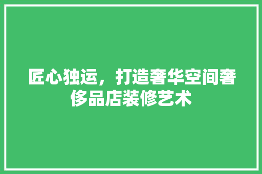 匠心独运，打造奢华空间奢侈品店装修艺术