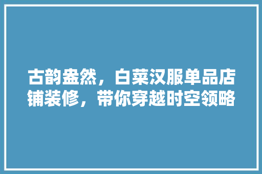 古韵盎然，白菜汉服单品店铺装修，带你穿越时空领略汉服之美
