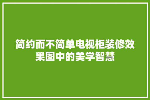简约而不简单电视柜装修效果图中的美学智慧