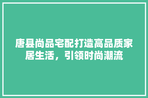 唐县尚品宅配打造高品质家居生活，引领时尚潮流