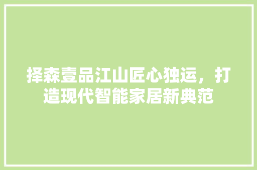 择森壹品江山匠心独运，打造现代智能家居新典范